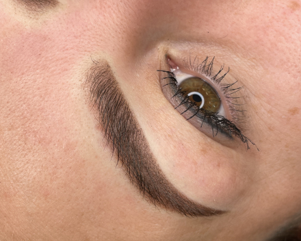 Powderbrows