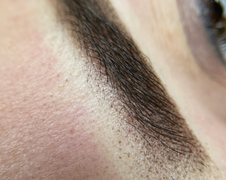 Powderbrows